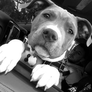 Meet your Posher, Anthony